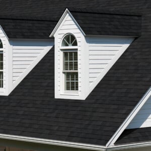 Onyx Black